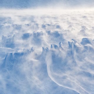 Reindeer tracks in drifting snow