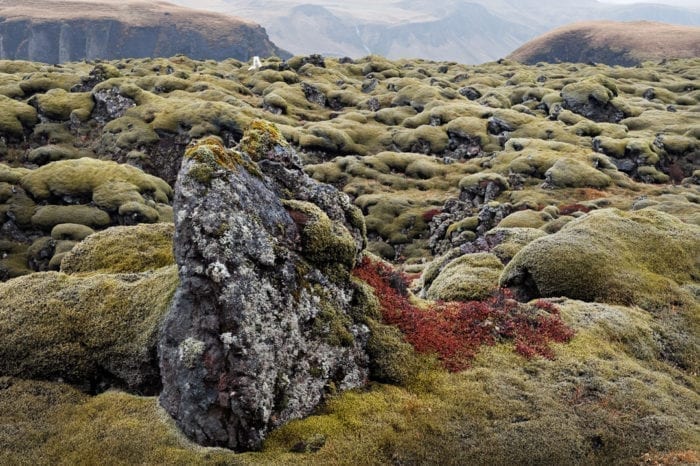 The ghost of the lava field