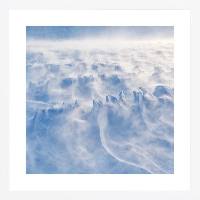 "Reindeer tracks in drifting snow" (Orsolya Haarberg) | hvit treramme m/ArtGlass