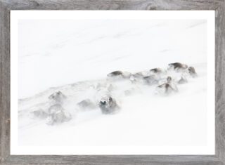 "Snowed in" (Orsolya Haarberg) | håndlaget treramme m/ArtGlass